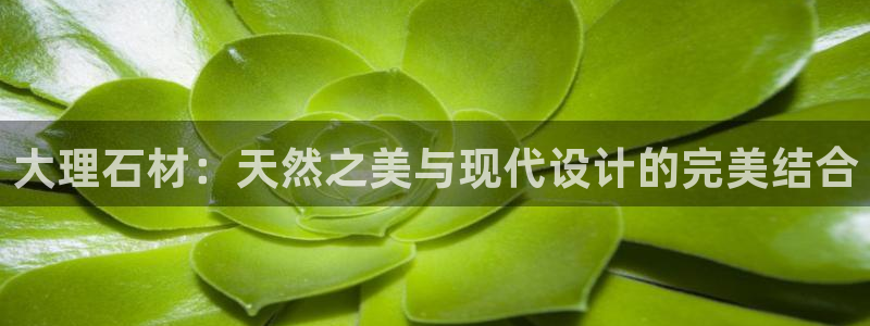金年会是啥：大理石材：天然之美与现代设计的完美结合