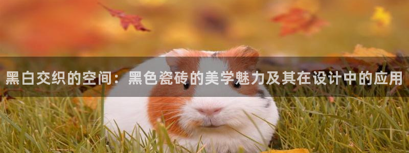 金年会jinnian：黑白交织的空间：黑色瓷砖的美学魅力及其在设计中的应用