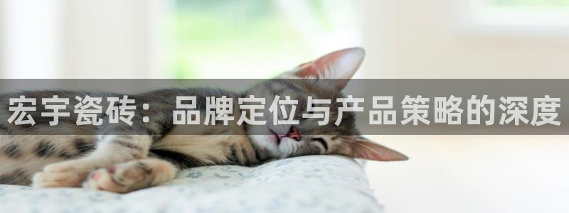 金年会金字招牌至上