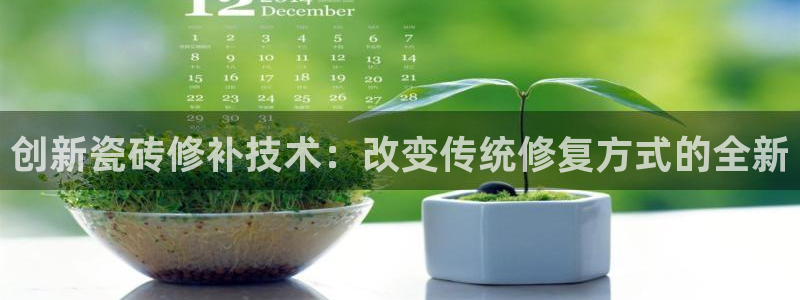 今年会金年会