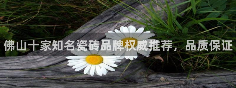 世界杯金年会app下载
