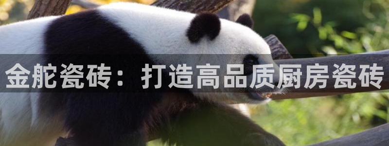 金年会手机网页版登录