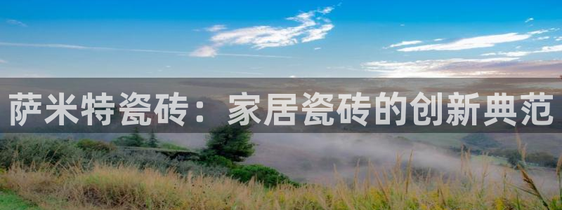 今年会金年会