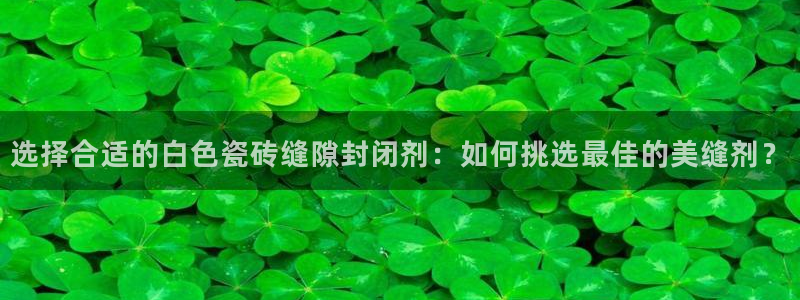 金年会网官网新版