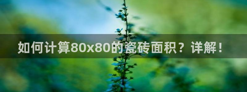 金年会登录入口