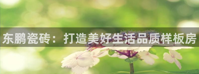 金年会退款