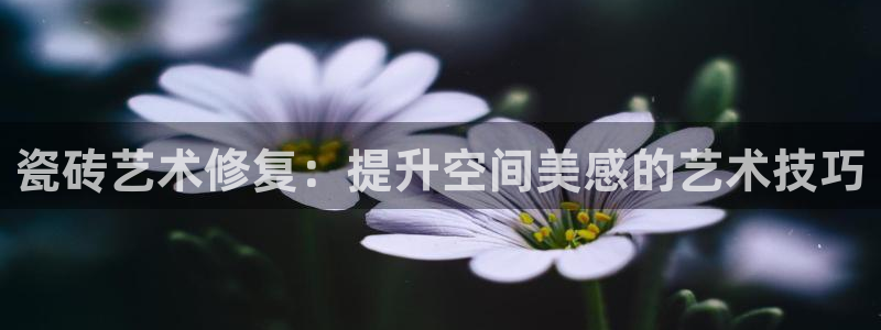 金年会体育在线入口