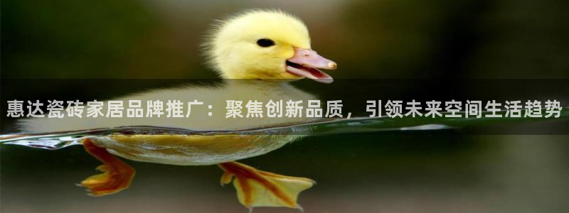 金年会今年会