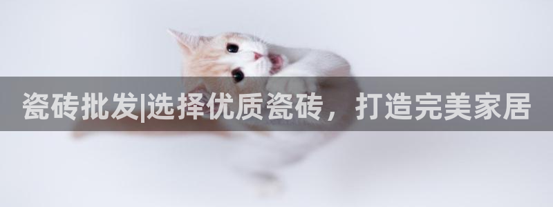 金年会下载