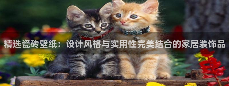 金年会体育在线入口