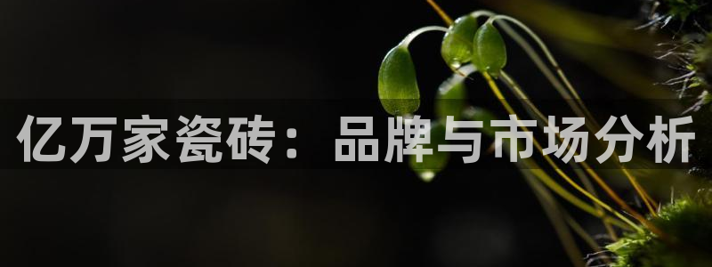 金年会菲律宾