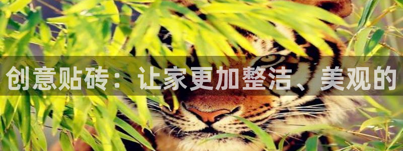 金年会信誉