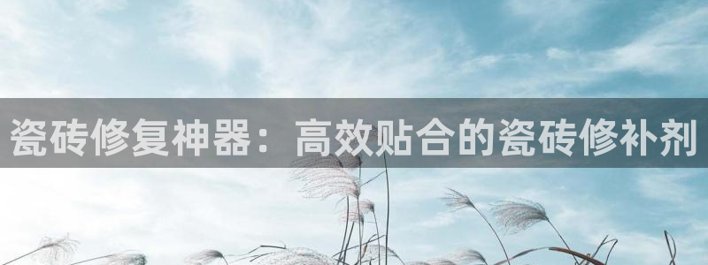 金靖年会
