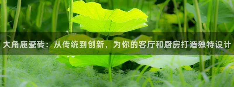 金科年会图片
