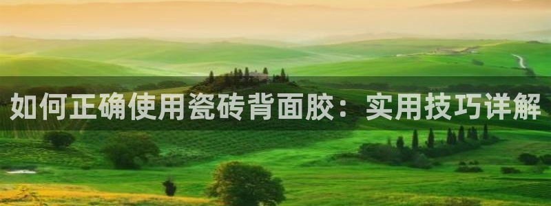 金年会APP下载