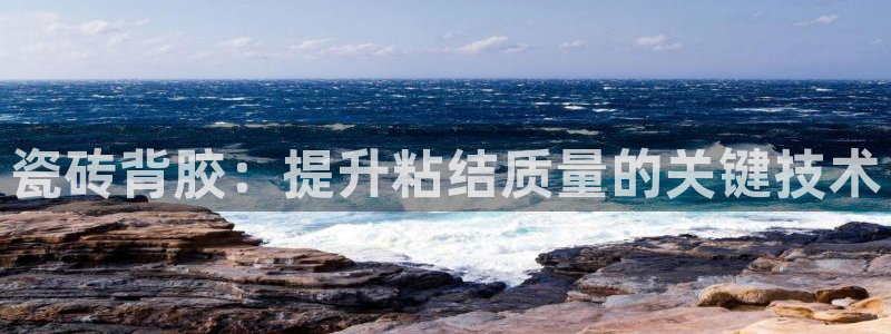 金年会金字招牌