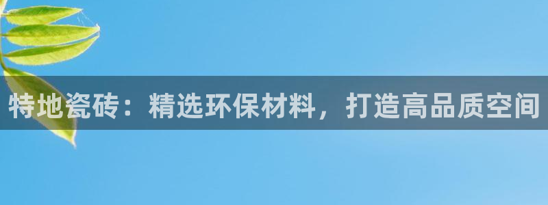类似金年会
