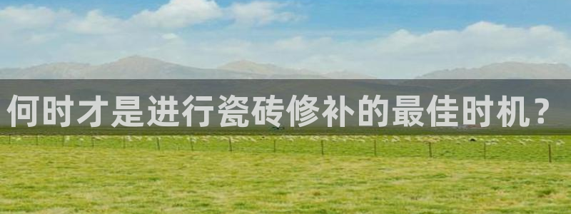 金年会 平台