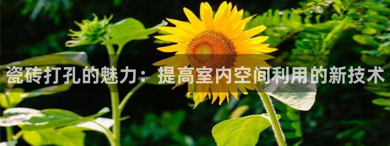 金年会金年会