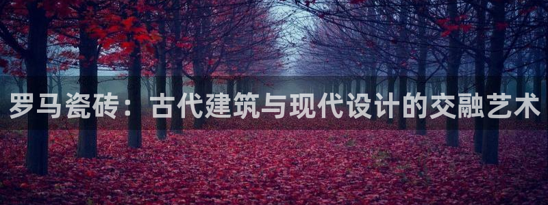 金联金年会