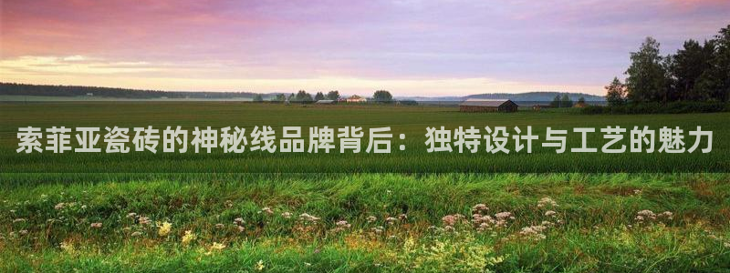 金年会app