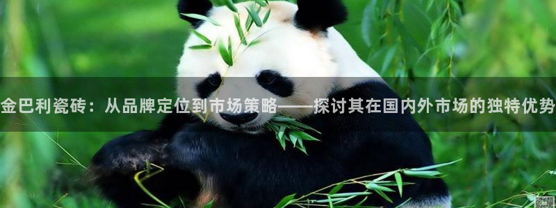金吉年会