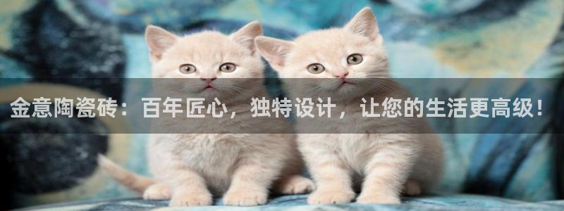 金立年会