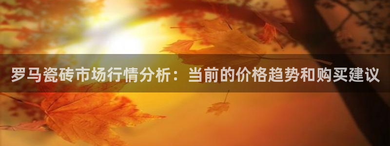 金帆年会2019