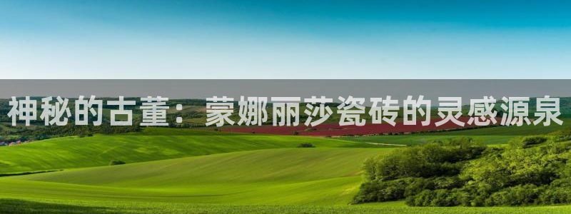 金诺利年会
