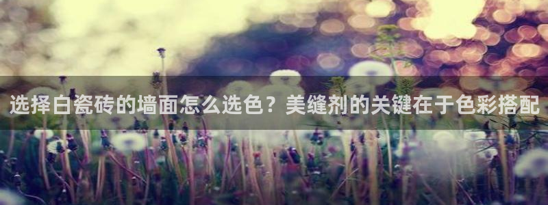 金 金年会