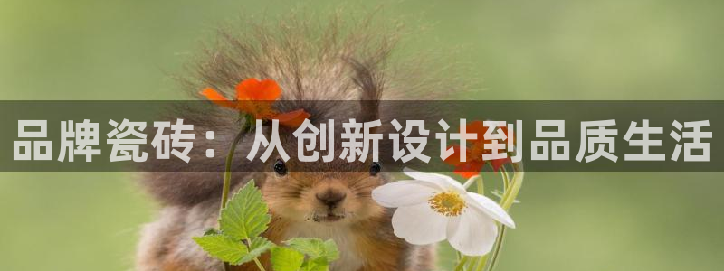 世界杯金年会app下载
