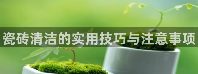 金年会体育在线入口