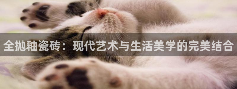 金年会ios下载