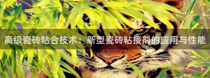 金年会在线入口