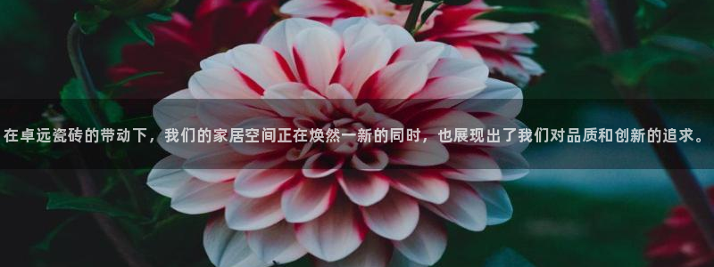金年会平台登陆