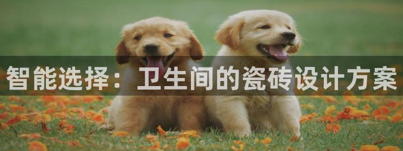 金年会.cc