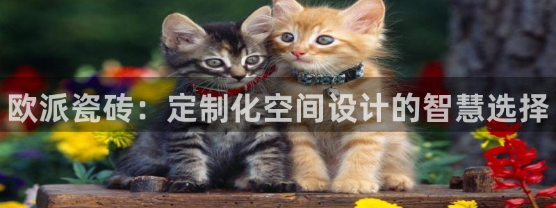 金年会 中国 金年会