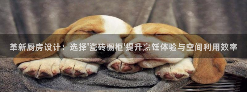 金年会6766澳门联合