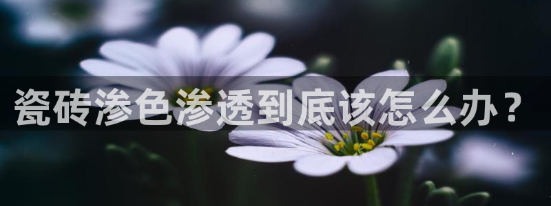 金年会登录入口