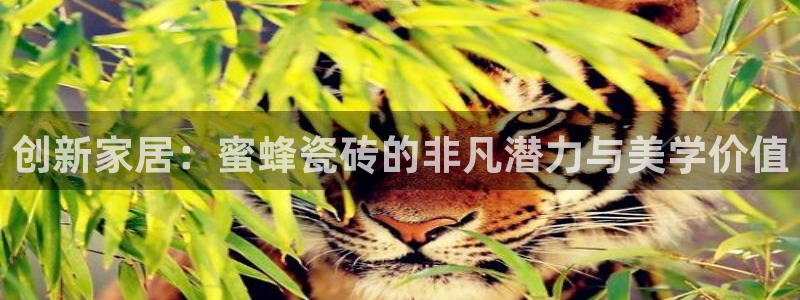 类似金年会