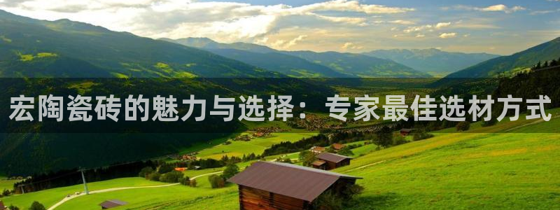 宝金年会