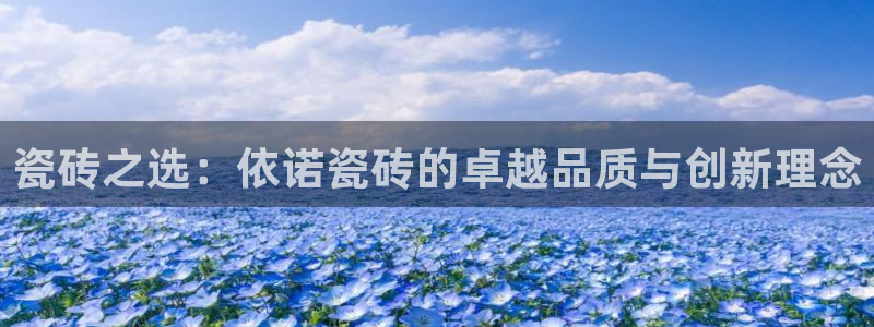金诺利年会