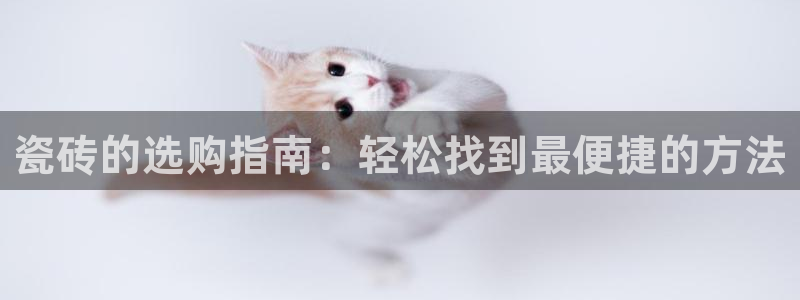 金年会国际