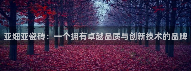 金年会体育app下载