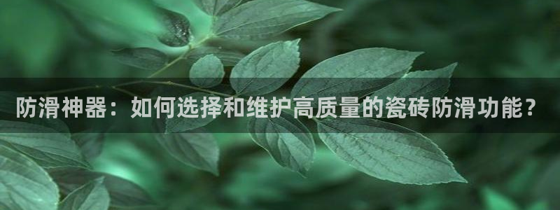 金年会体育在线登录