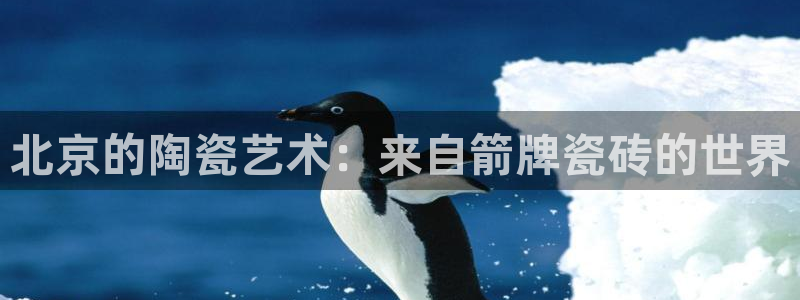 金年会安装