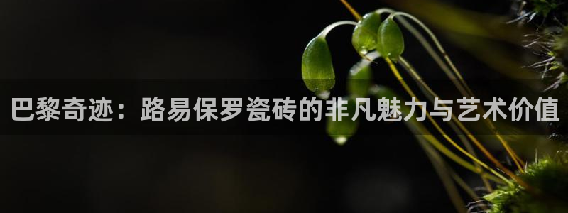 金年会官网app下载