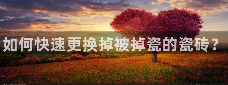 金年会官方网站入口