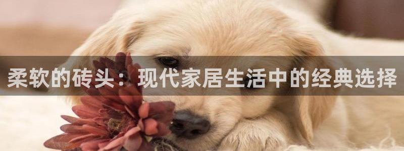 金年会