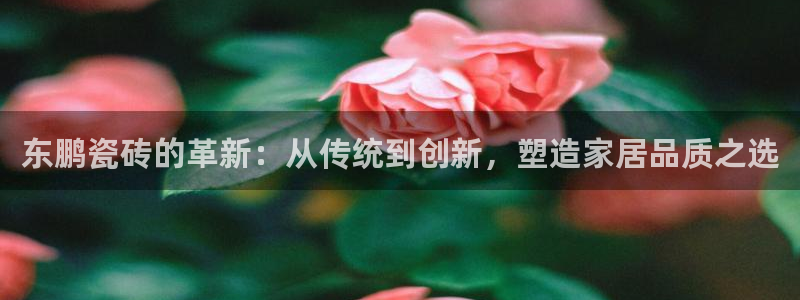 金年会APP黑钱